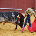 San Roque (Cádiz) - Corrida de toros - Sábado 11 de agosto de 2018