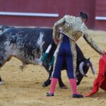 San Roque (Cádiz) - Corrida de toros - Sábado 11 de agosto de 2018