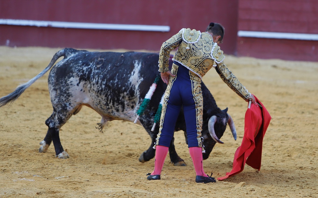 San Roque (Cádiz) - Corrida de toros - Sábado 11 de agosto de 2018