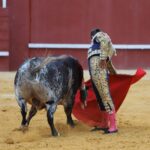 San Roque (Cádiz) - Corrida de toros - Sábado 11 de agosto de 2018
