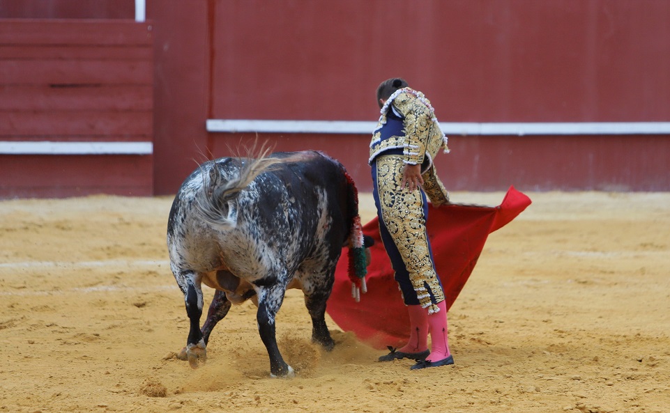 San Roque (Cádiz) - Corrida de toros - Sábado 11 de agosto de 2018