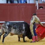 San Roque (Cádiz) - Corrida de toros - Sábado 11 de agosto de 2018
