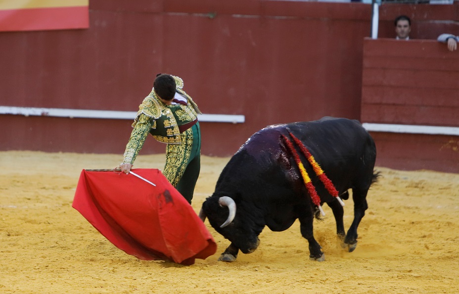 San Roque (Cádiz) - Corrida de toros - Sábado 11 de agosto de 2018