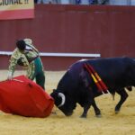 San Roque (Cádiz) - Corrida de toros - Sábado 11 de agosto de 2018