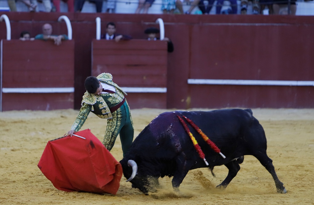 San Roque (Cádiz) - Corrida de toros - Sábado 11 de agosto de 2018