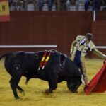 San Roque (Cádiz) - Corrida de toros - Sábado 11 de agosto de 2018