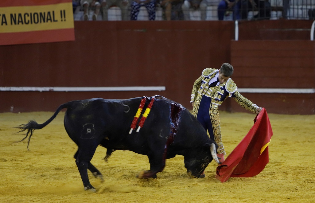 San Roque (Cádiz) - Corrida de toros - Sábado 11 de agosto de 2018