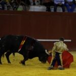 San Roque (Cádiz) - Corrida de toros - Sábado 11 de agosto de 2018