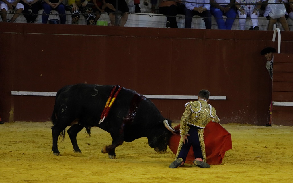 San Roque (Cádiz) - Corrida de toros - Sábado 11 de agosto de 2018
