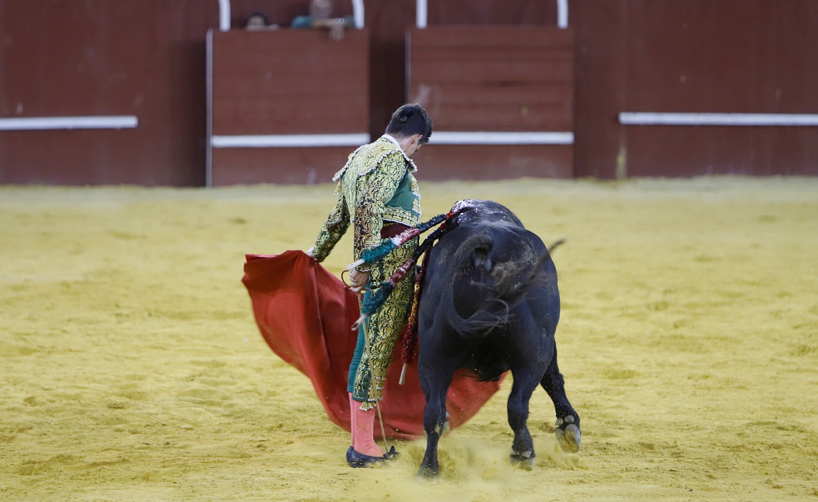 San Roque (Cádiz) - Corrida de toros - Sábado 11 de agosto de 2018