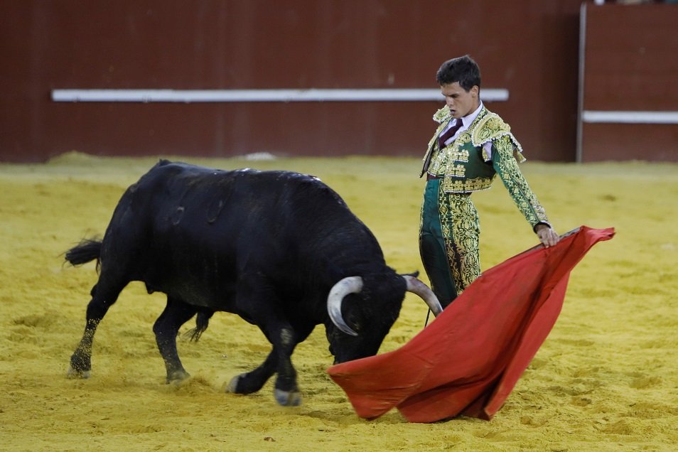 San Roque (Cádiz) - Corrida de toros - Sábado 11 de agosto de 2018