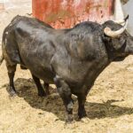 Sorteo, Cuenca 19 de agosto de 2018