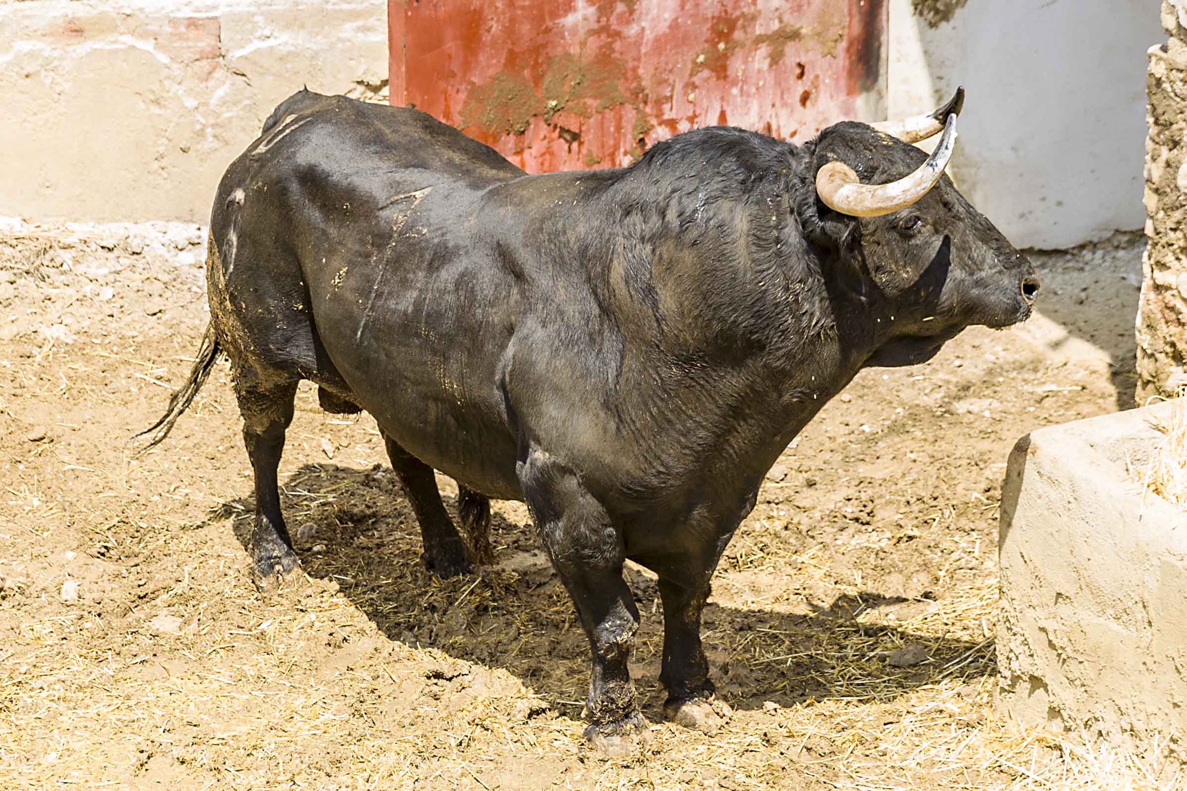 Sorteo, Cuenca 19 de agosto de 2018