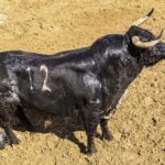 Sorteo, Cuenca 18 de agosto de 2018