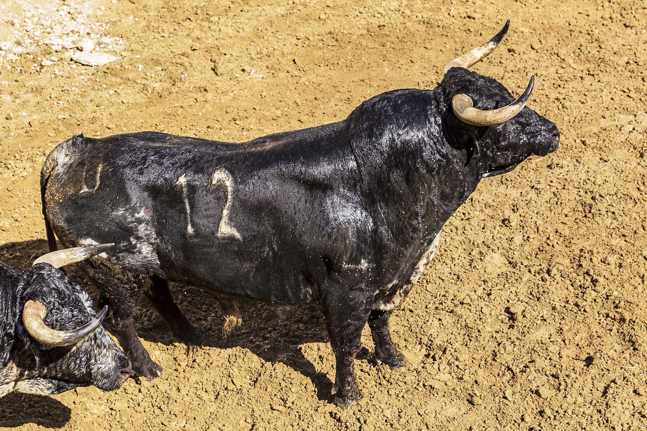 Sorteo, Cuenca 18 de agosto de 2018