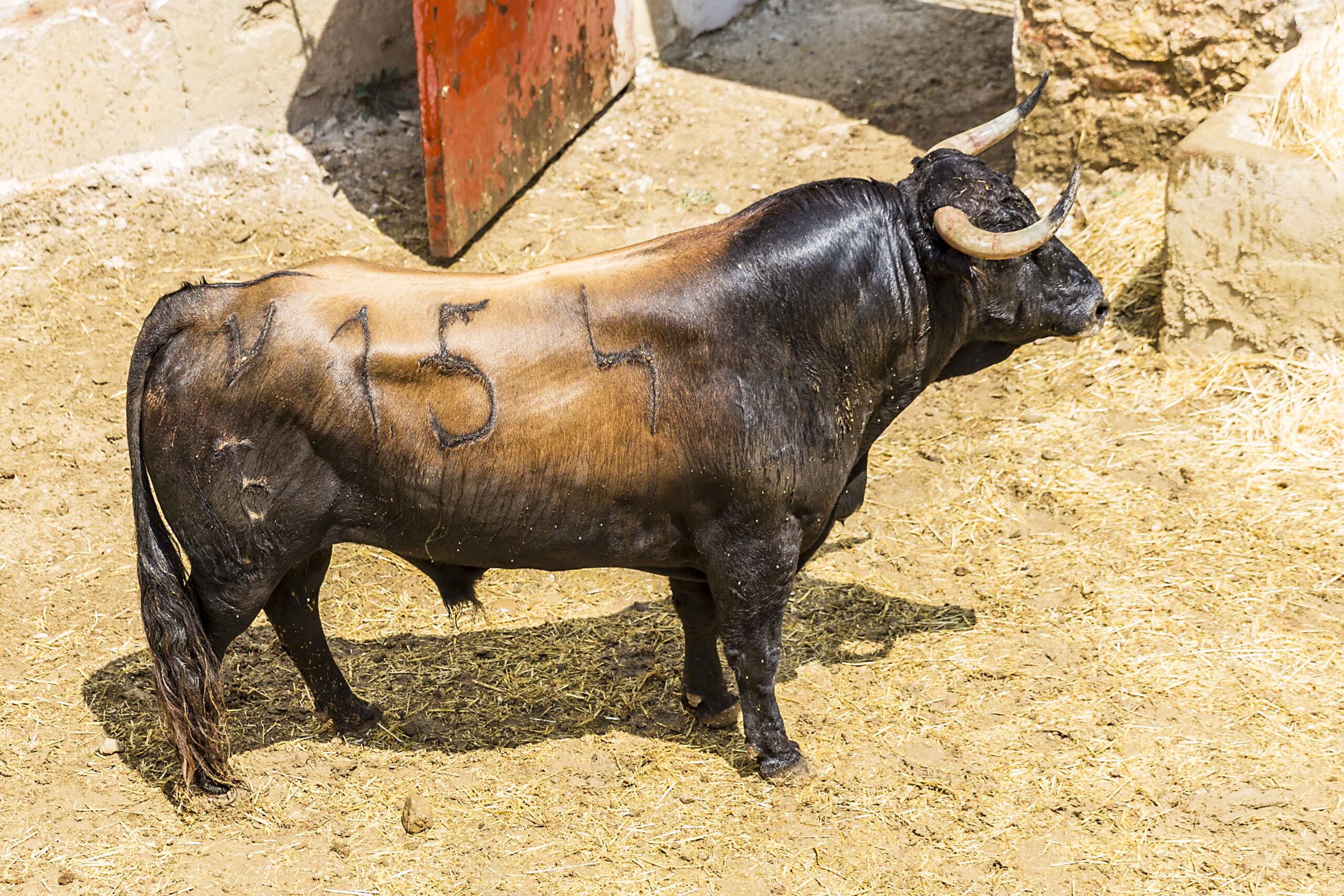 Sorteo, Cuenca 19 de agosto de 2018