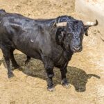 Sorteo, Cuenca 19 de agosto de 2018