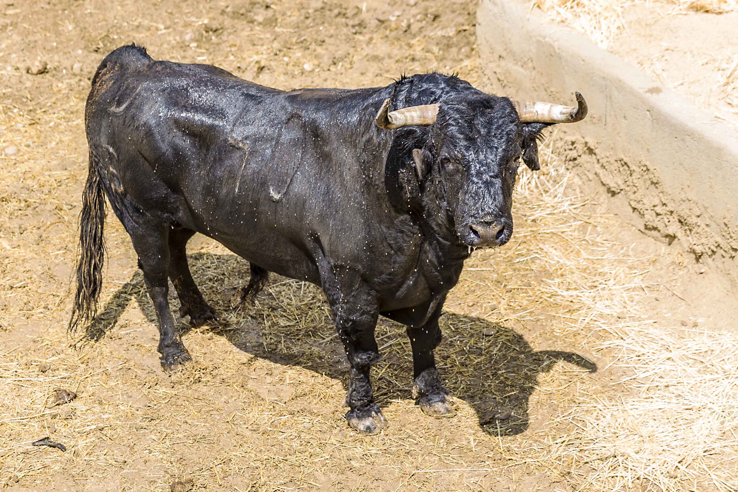 Sorteo, Cuenca 19 de agosto de 2018