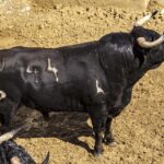 Sorteo, Cuenca 18 de agosto de 2018