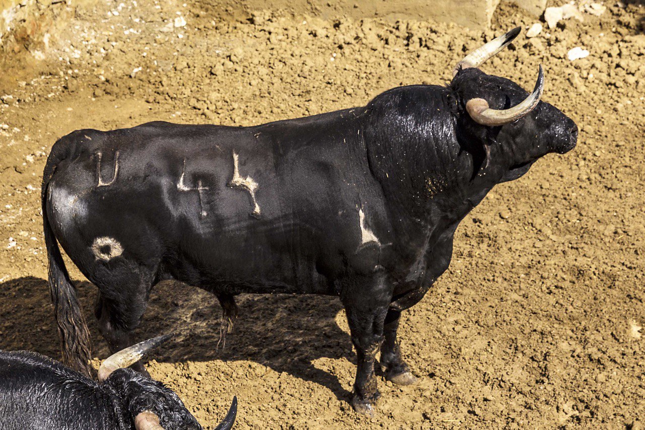 Sorteo, Cuenca 18 de agosto de 2018