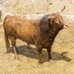 Sorteo, Cuenca 19 de agosto de 2018