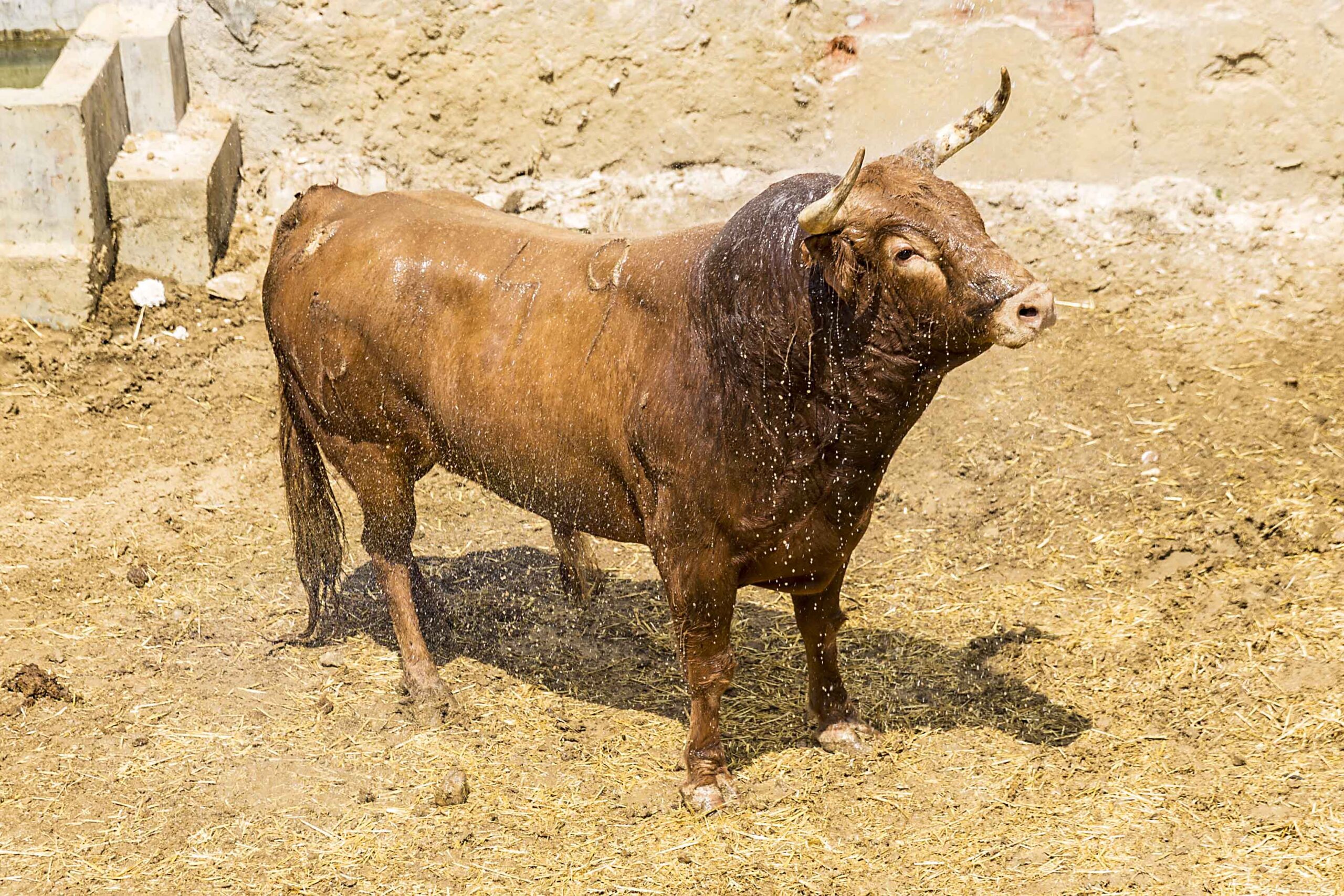 Sorteo, Cuenca 19 de agosto de 2018