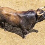 Sorteo, Cuenca 19 de agosto de 2018