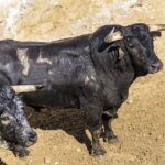 Sorteo, Cuenca 18 de agosto de 2018