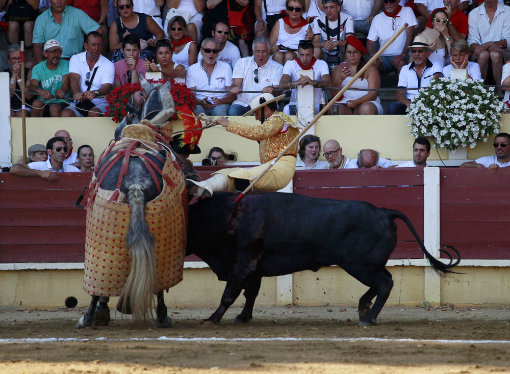 Parentis-en-Born (Francia) - Novillada picada - Domingo 5 de agosto de 2018