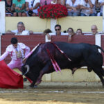 Parentis-en-Born (Francia) - Novillada picada - Domingo 5 de agosto de 2018