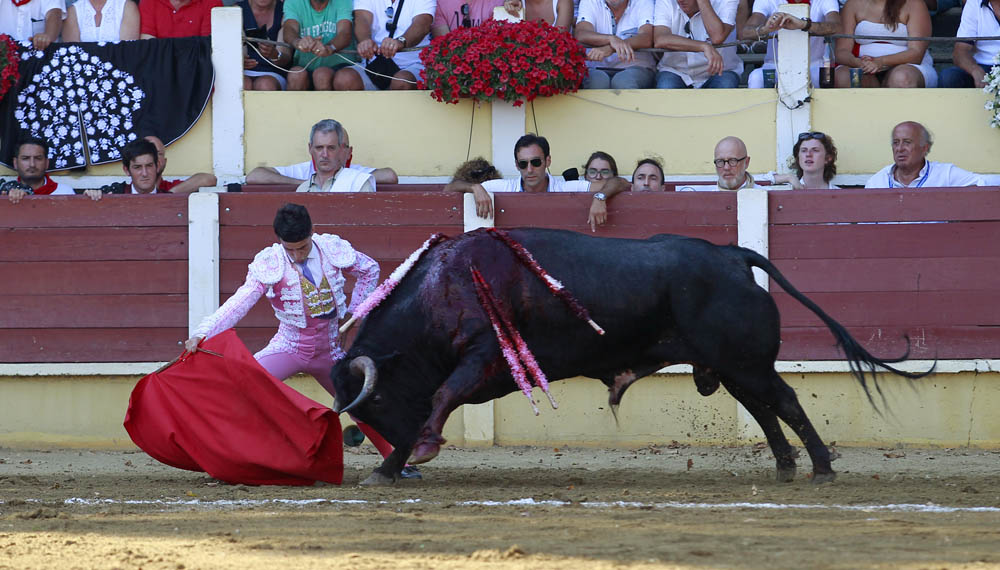 Parentis-en-Born (Francia) - Novillada picada - Domingo 5 de agosto de 2018