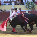 Parentis-en-Born (Francia) - Novillada picada - Domingo 5 de agosto de 2018