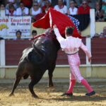 Parentis-en-Born (Francia) - Novillada picada - Domingo 5 de agosto de 2018