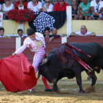 Parentis-en-Born (Francia) - Novillada picada - Domingo 5 de agosto de 2018