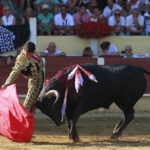 Parentis-en-Born (Francia) - Novillada picada - Domingo 5 de agosto de 2018