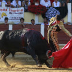 Parentis-en-Born (Francia) - Novillada picada - Domingo 5 de agosto de 2018