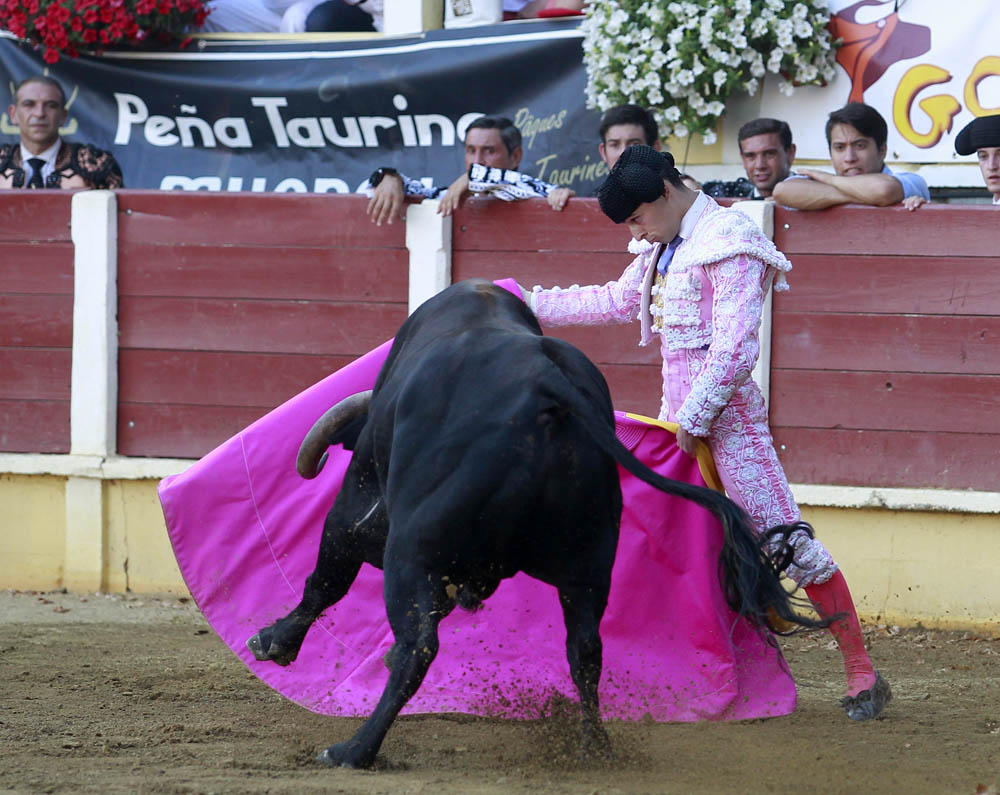 Parentis-en-Born (Francia) - Novillada picada - Domingo 5 de agosto de 2018