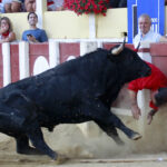 Parentis-en-Born (Francia) - Novillada picada - Domingo 5 de agosto de 2018