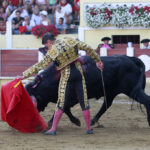 Parentis-en-Born (Francia) - Novillada picada - Domingo 5 de agosto de 2018
