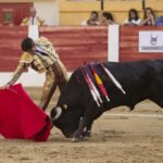 Íscar (Valladolid) - Corrida de toros - Domingo 5 de agosto de 2018