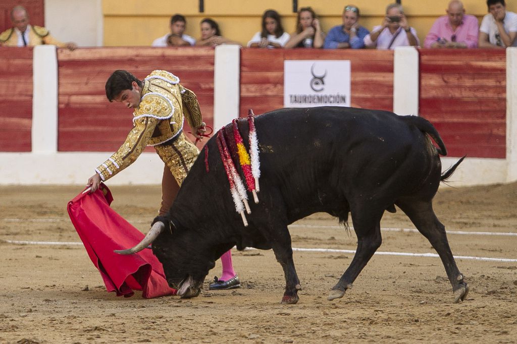 Íscar (Valladolid) - Corrida de toros - Domingo 5 de agosto de 2018