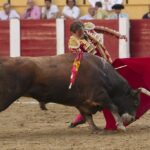 Íscar (Valladolid) - Corrida de toros - Domingo 5 de agosto de 2018