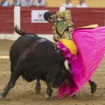 Íscar (Valladolid) - Corrida de toros - Domingo 5 de agosto de 2018