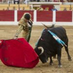 Íscar (Valladolid) - Corrida de toros - Domingo 5 de agosto de 2018