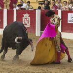 Íscar (Valladolid) - Corrida de toros - Domingo 5 de agosto de 2018
