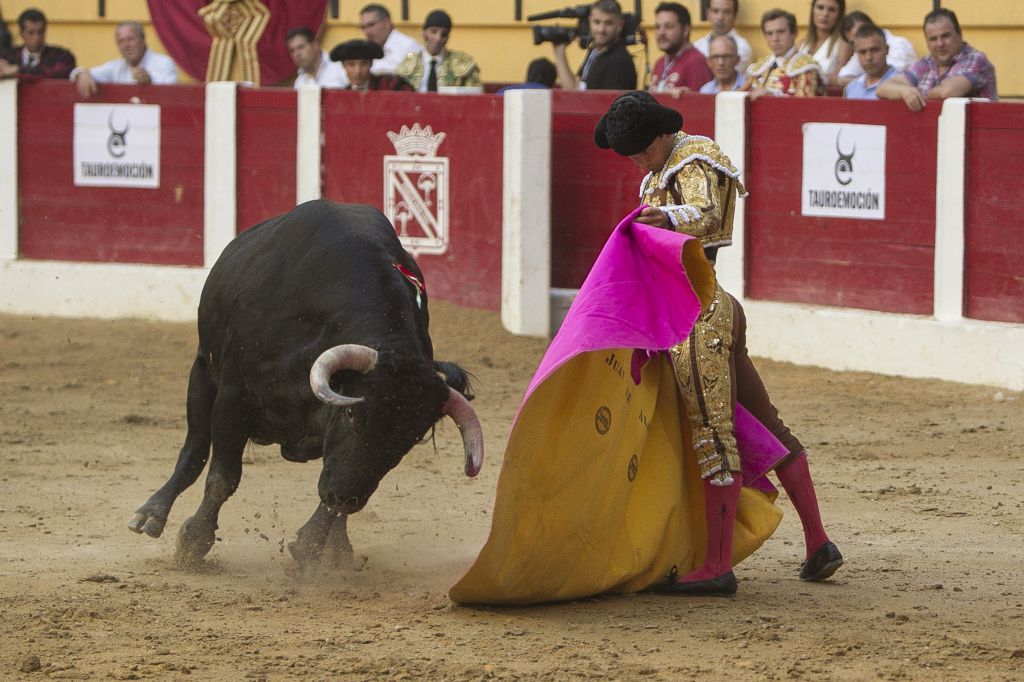 Íscar (Valladolid) - Corrida de toros - Domingo 5 de agosto de 2018