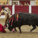 Íscar (Valladolid) - Corrida de toros - Domingo 5 de agosto de 2018