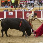 Íscar (Valladolid) - Corrida de toros - Domingo 5 de agosto de 2018