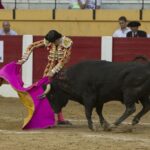Íscar (Valladolid) - Corrida de toros - Domingo 5 de agosto de 2018
