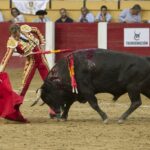 Íscar (Valladolid) - Corrida de toros - Domingo 5 de agosto de 2018